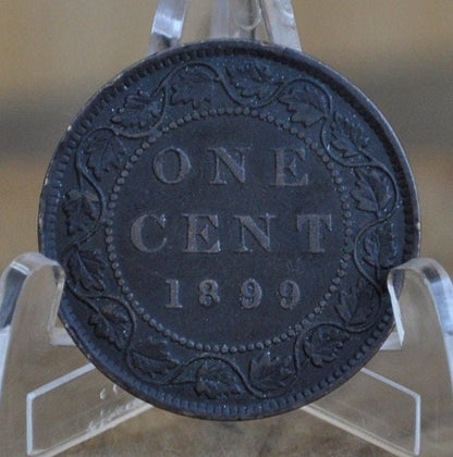 1899 Canadian One Cent - XF (Extremely Fine) Condition - Queen Victoria - One Cent Canada 1899 Large Cent - 1899 One Cent