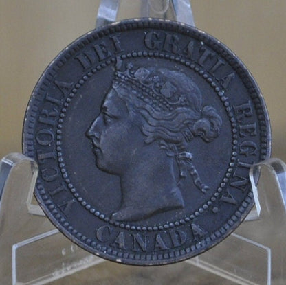 1899 Canadian One Cent - XF (Extremely Fine) Condition - Queen Victoria - One Cent Canada 1899 Large Cent - 1899 One Cent
