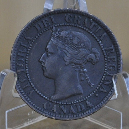 1899 Canadian One Cent - XF (Extremely Fine) Condition - Queen Victoria - One Cent Canada 1899 Large Cent - 1899 One Cent