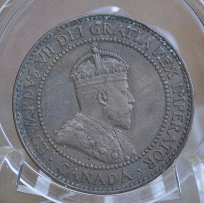 1908 Canadian Cent - XF (Extremely Fine) Grade / Condition - Edward VII - One Cent Canada 1908 Large Cent - 1908 Canadian Penny