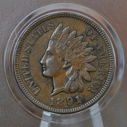 1891 Indian Head Penny - Choose by Grade / Condition - Indian Head Cent 1891 - 1891 US One Cent - Higher Grades