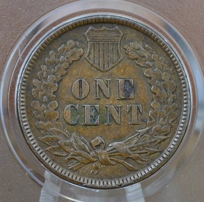 1891 Indian Head Penny - Choose by Grade / Condition - Indian Head Cent 1891 - 1891 US One Cent - Higher Grades