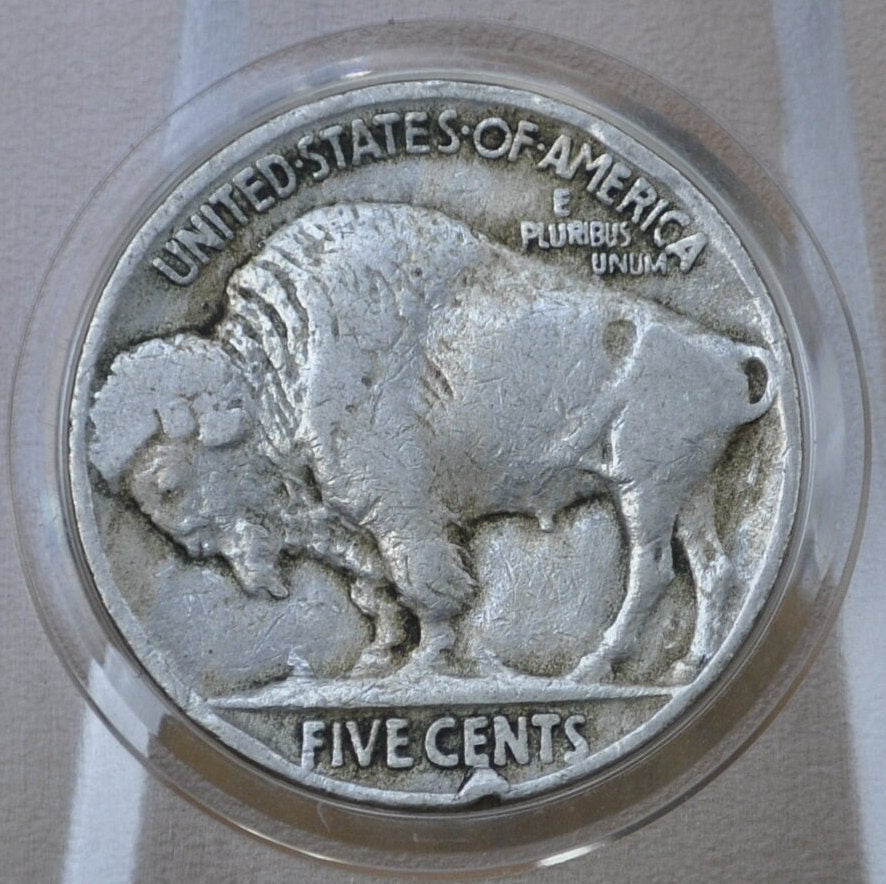 1917 Buffalo Nickel - Choose by Grade - 1917 P Indian Head Nickel 1917-P Buffalo Nickel 1917