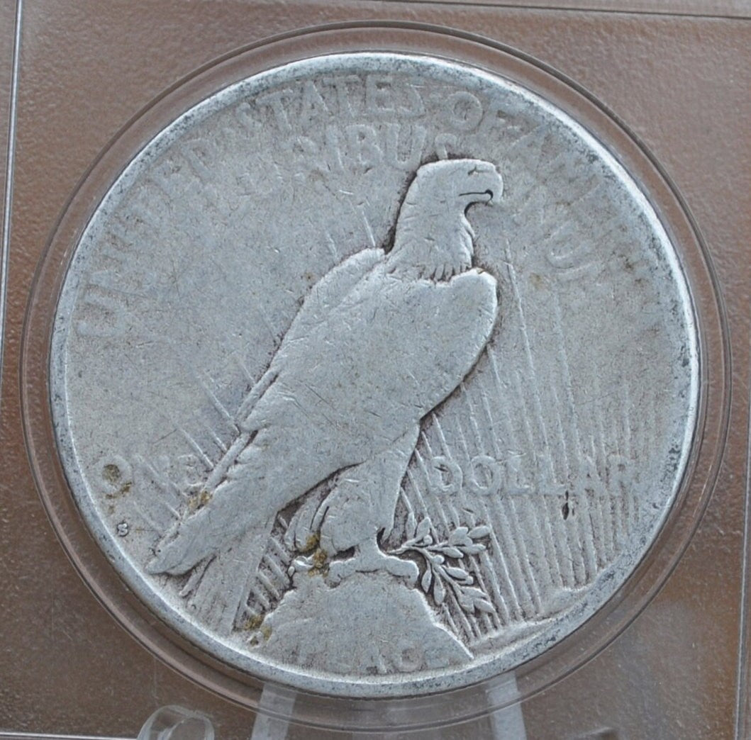 1924-S Peace Silver Dollar - Choose by Grade - 1924 S Silver Dollar - Lower Mintage - 1924S Silver Dollar Peace -San Francisco Mint
