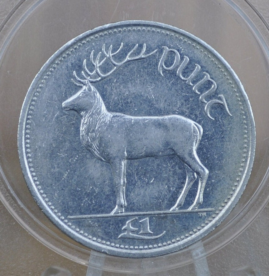 1990s Irish 1 Punt Pound Coin - Great Condition - 1990 One Pound Coin Ireland / UK - Stag Design Irish Coins - Erie 1990, 1999, 1994, 1998