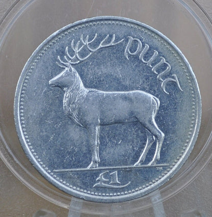 1990s Irish 1 Punt Pound Coin - Great Condition - 1990 One Pound Coin Ireland / UK - Stag Design Irish Coins - Erie 1990, 1999, 1994, 1998