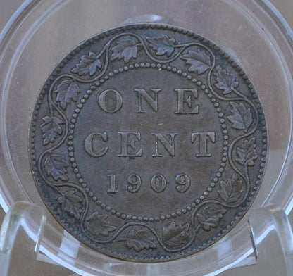 1909 Canadian Cent - Choose by Grade, F-XF (Fine to Extremely Fine) - Edward VII - One Cent Canada 1909 Large Cent - 1909 Canadian Penny