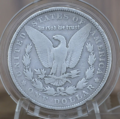 1902 Morgan Silver Dollar - Choose by Grade / Condition - 1902-P Morgan Dollar - 1902 Silver Dollar - No Mint Mark