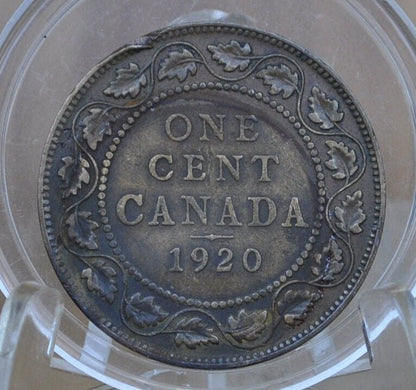 1920 Canadian Cent - Choose by Grade - VF-XF (Very to Extremely Fine) - King George V One Cent Canada 1920 Large Size - 1920 Canadian Penny