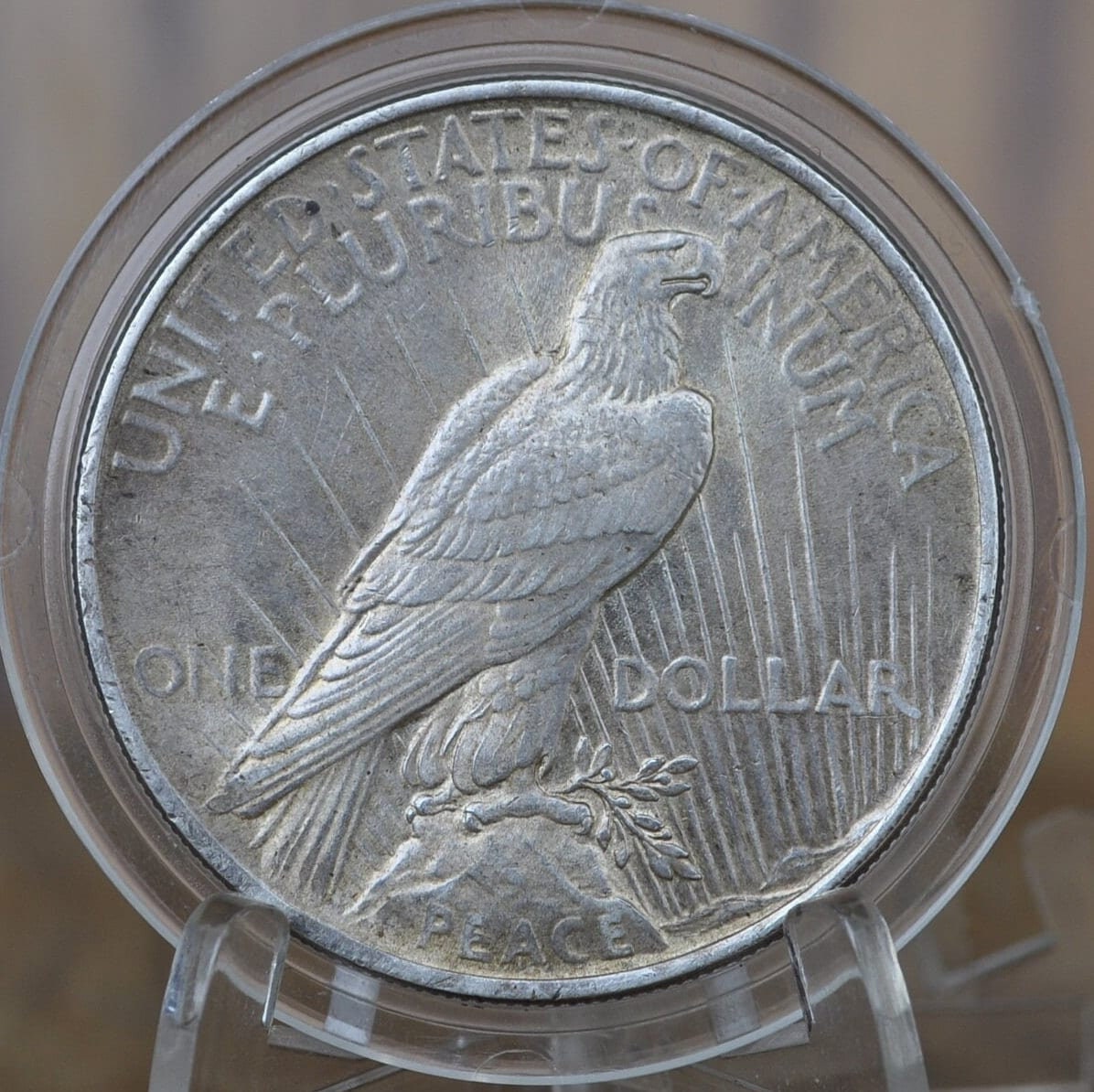 1924 Peace Silver Dollar - Choose by Grade XF-MS63 - 1924 P Silver Dollar - 1924 Silver Dollar Peace 1924 P - Philadelphia Mint