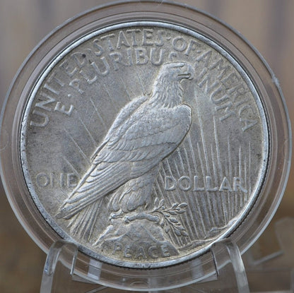 1924 Peace Silver Dollar - Choose by Grade XF-MS63 - 1924 P Silver Dollar - 1924 Silver Dollar Peace 1924 P - Philadelphia Mint