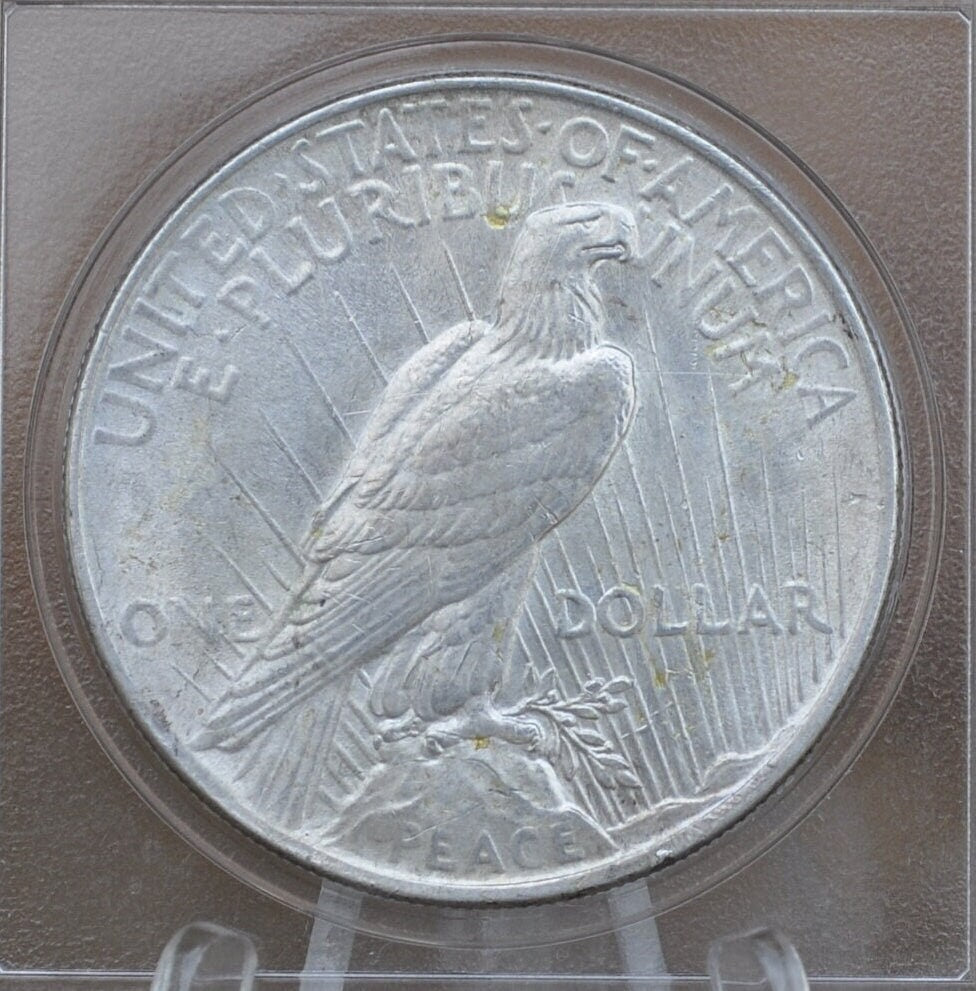1924 Peace Silver Dollar - Choose by Grade XF-MS63 - 1924 P Silver Dollar - 1924 Silver Dollar Peace 1924 P - Philadelphia Mint
