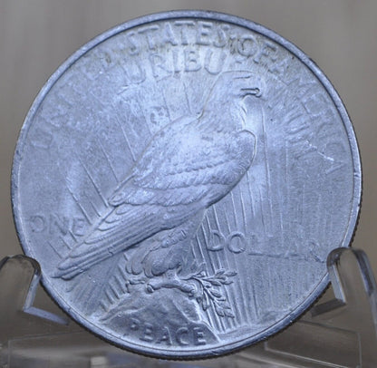1924 Peace Silver Dollar - Choose by Grade XF-MS63 - 1924 P Silver Dollar - 1924 Silver Dollar Peace 1924 P - Philadelphia Mint