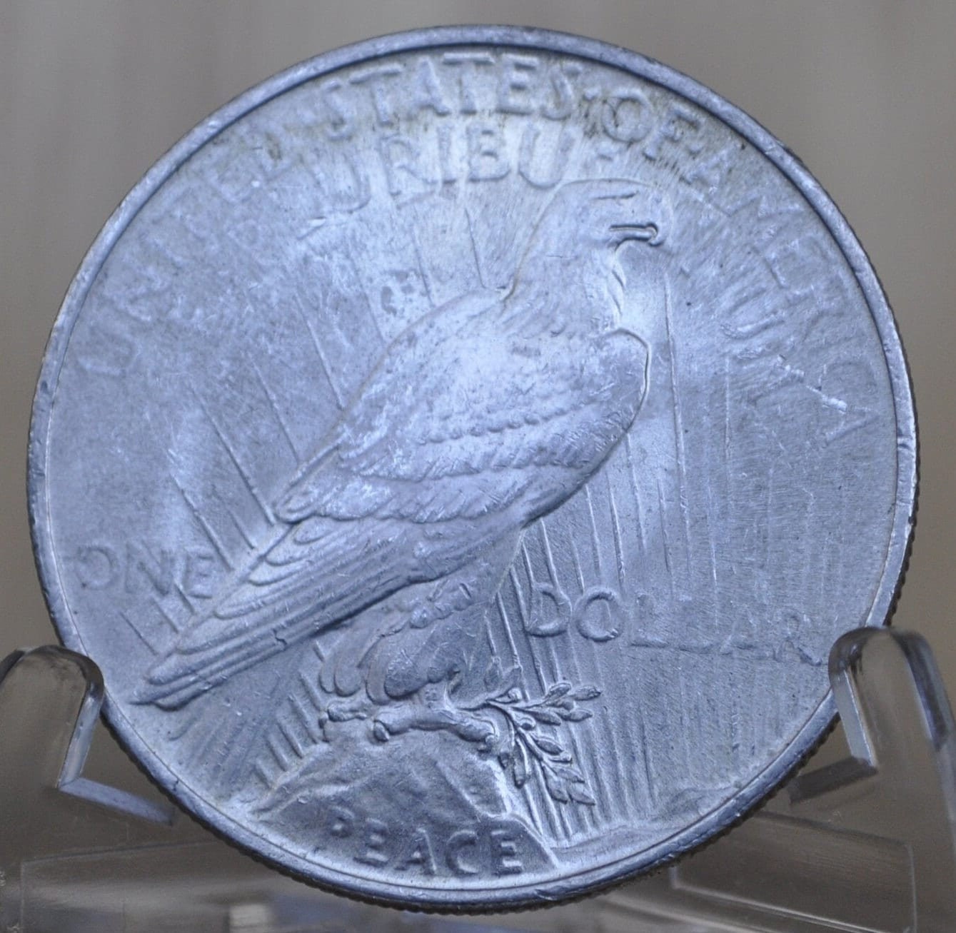 1924 Peace Silver Dollar - Choose by Grade XF-MS63 - 1924 P Silver Dollar - 1924 Silver Dollar Peace 1924 P - Philadelphia Mint