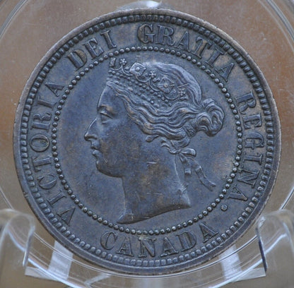 1882 Canadian Cent - XF-AU (Extremely Fine) Grade / Condition - Queen Victoria - 1882 Large Cent - 1882 H Penny Canada, Incredible Detail