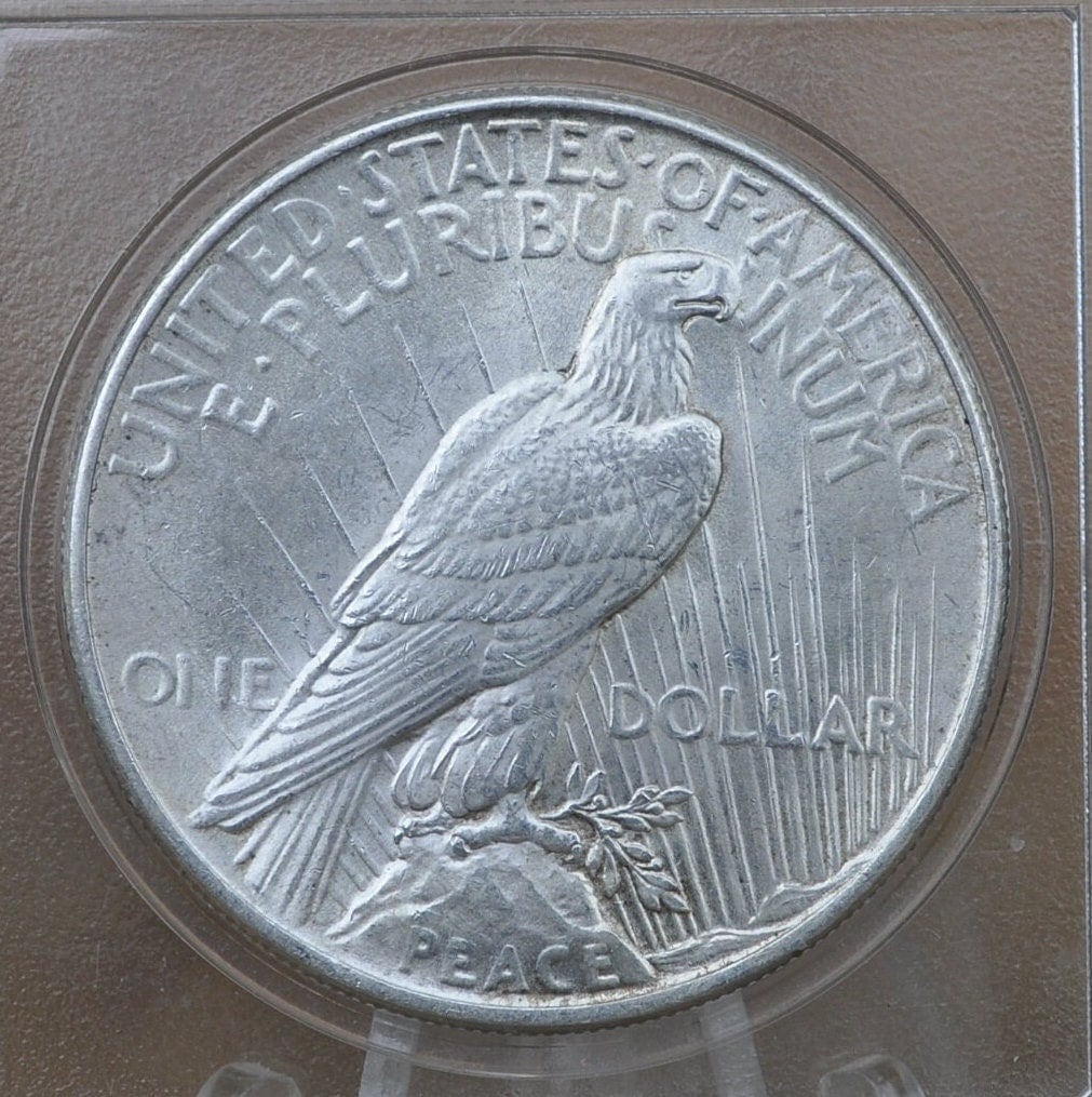 1925 Peace Silver Dollar - Choose by Grade, XF-BU (Extra Fine to Uncirculated) - Philadelphia Mint - 1925 P Peace Dollar 1925 Silver Dollar