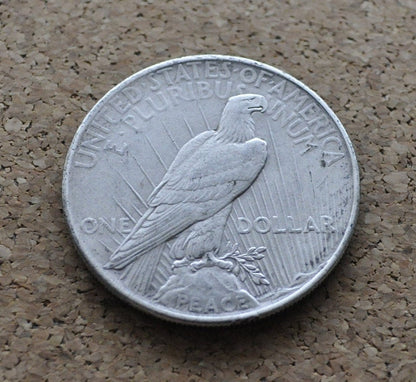 1925 Peace Silver Dollar - Choose by Grade, XF-BU (Extra Fine to Uncirculated) - Philadelphia Mint - 1925 P Peace Dollar 1925 Silver Dollar