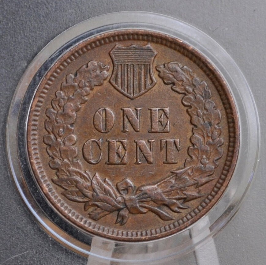 1907 Indian Head Penny - Choose by Grade / Condition - 1907 Indian Head Cent 1907 US 1 Cent