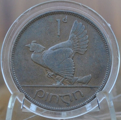1928 Irish 1 Penny - VF/XF Grade / Condition - 1928 One Cent Ireland / UK - Hen with Chicks Design Irish Coins - Irish Coins