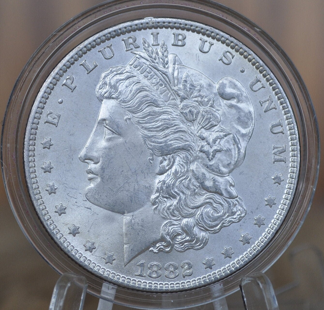 1882 Morgan Silver Dollar - XF-BU (Extremely Fine to Uncirculated) Choose by Grade 1882P Morgan Dollar 1882 Silver Dollar Philadelphia Mint