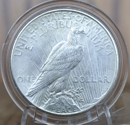 1926 Peace Silver Dollar - Choose By Grade - Philadelphia Mint - 1926 P Silver Dollar 1926 P Peace Dollar, Better Date