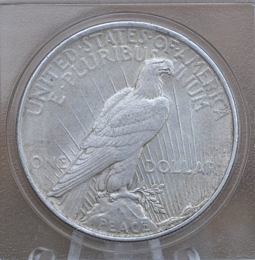 1924 Peace Silver Dollar - Choose by Grade XF-MS63 - 1924 P Silver Dollar - 1924 Silver Dollar Peace 1924 P - Philadelphia Mint