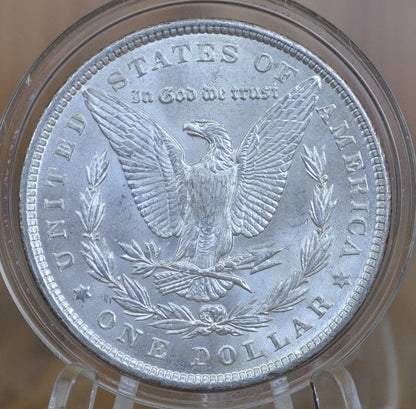 1878 Morgan Silver Dollar - Seven Feathers - Choose by Grade - 1878 Seven Feathers - 7 Feather Design 1878 P Morgan Silver