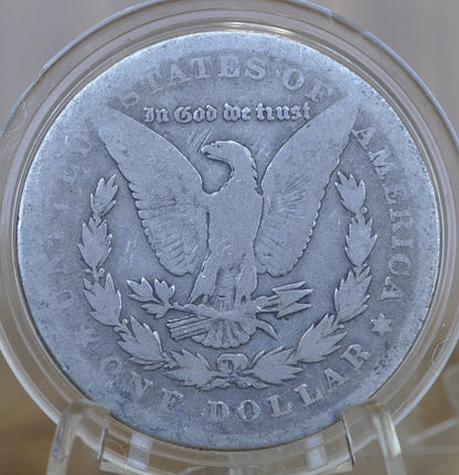 1878 Morgan Silver Dollar - Seven Feathers - Choose by Grade - 1878 Seven Feathers - 7 Feather Design 1878 P Morgan Silver