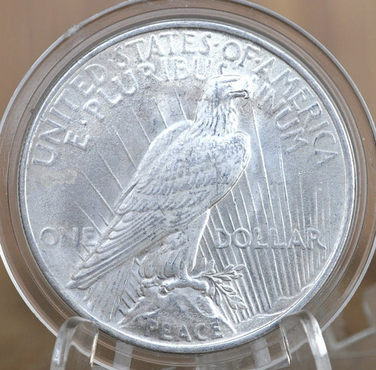 1923 Peace Silver Dollar - AU (About Uncirculated) Grade / Condition - Philadelphia Mint - Silver Dollar - 1923 P Peace Dollar Silver