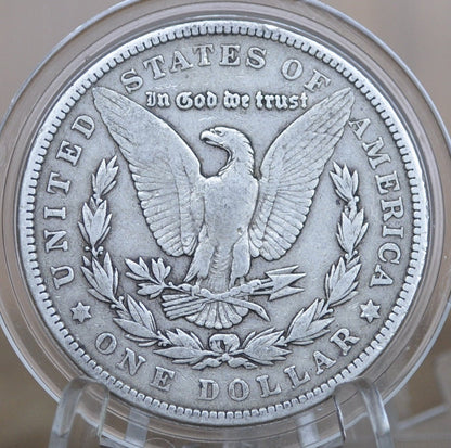 1903 Morgan Silver Dollar - Choose by Grade - 1903 P Morgan Dollar - Silver Dollar 1903 P - High Grades