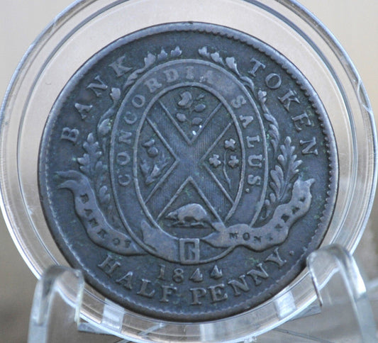 1844 Bank Token Half Penny - Great Condition - 1/2 Penny Bank Token 1844 Bank of Montreal Canadian Bank Token