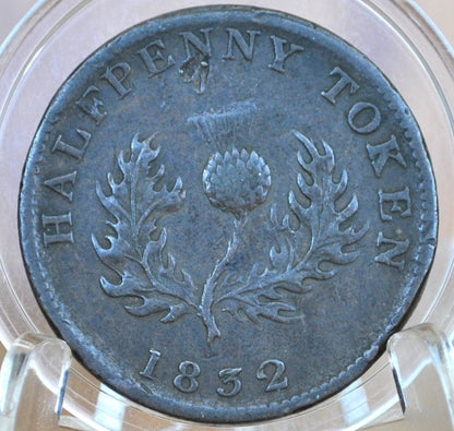 1832 Nova Scotia Half Penny Token - XF Grade / Condition - 1/2 Penny Token Canada 1832 - Copper - 1832 Canadian Token