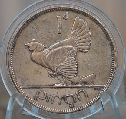 1928 Irish 1 Penny - VF/XF Grade / Condition - 1928 One Cent Ireland / UK - Hen with Chicks Design Irish Coins - Irish Coins