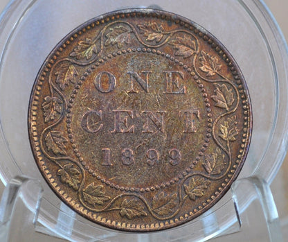 1899 Canadian One Cent - XF (Extremely Fine) Condition - Queen Victoria - One Cent Canada 1899 Large Cent - 1899 One Cent