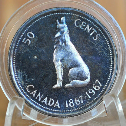 1967 Canadian Silver Half Dollar - BU (Uncirculated) Prooflike -80% Silver -Howling Wolf Silver Half Dollar Canada- Canadian Coin Collection