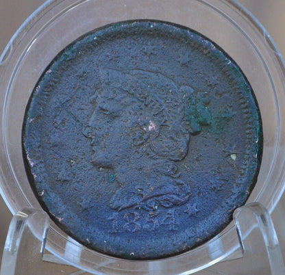 1854 Braided Hair Large Cent - Choose by Coin / Grade - 1854 Coronet Cent 1854 US Large Cent Braided Hair 1839 to 1857