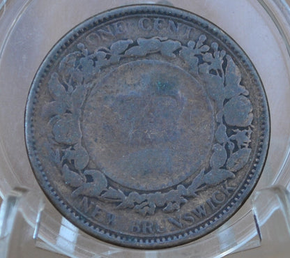 1864 New Brunswick One Cent - Choose by Grade VG-XF (Extremely Fine) - New Brunswick 1 Penny Large Cent 1864 Cent -Only 4 Years of Issue