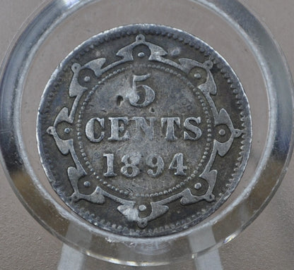 1894 Newfoundland Silver 5 Cent Coin - VF Details, Puncture Marks - Queen Victoria - 5 Cents Newfoundland 1894 Silver - Low Mintage