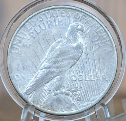 1934-S Peace Dollar - Choose by Grade - 1934 S Peace Silver Dollar - San Francisco Mint - Semi-Key Date Silver Dollar 1934 S