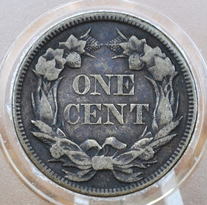 1857 Flying Eagle Penny - Choose by Grade / Condition - Great Date - Rare Penny Type - Two years of production - 1857 Cent - 1857 Penny