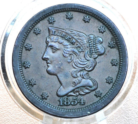 1854 Half Cent - AU58 (Choice AU), Incredible Coin For a Collection - 1854 Braided Hair Half Cent - 1854 US Half Penny
