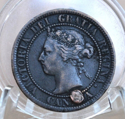 1899 Canadian One Cent - XF (Extremely Fine) Condition - Queen Victoria - One Cent Canada 1899 Large Cent - 1899 One Cent