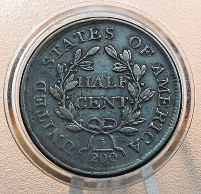 1804 Half Cent Plain 4 No Stems - VF30 (Choice Very Fine) -1804 Draped Bust Half Cent 1804 Half Cent Stemless Regular 4 -Early American Coin