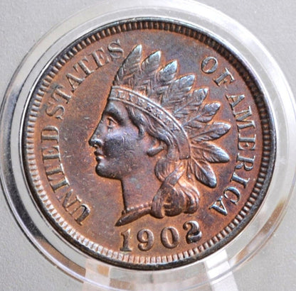 1902 Indian Head Penny - Choose by Grade / Condition - Great Detail - 1902 Indian Head Cent - Cent 1902 Penny