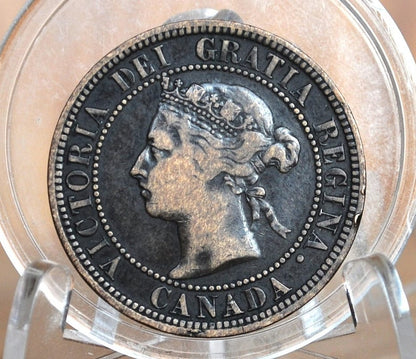 1882 Canadian Cent - XF-AU (Extremely Fine) Grade / Condition - Queen Victoria - 1882 Large Cent - 1882 H Penny Canada, Incredible Detail