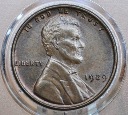 1929 Wheat Penny - Choose by Grade / Condition - Philadelphia Mint - 1929 P Wheat Ear Cent 1929 P Wheat Back Penny