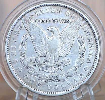 1891 Morgan Silver Dollar - Choose by Grade / Condition - 1891 P Morgan Dollar - 1891 Silver Dollar Philadelphia Mint -
