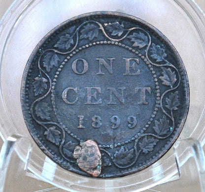 1899 Canadian One Cent - XF (Extremely Fine) Condition - Queen Victoria - One Cent Canada 1899 Large Cent - 1899 One Cent