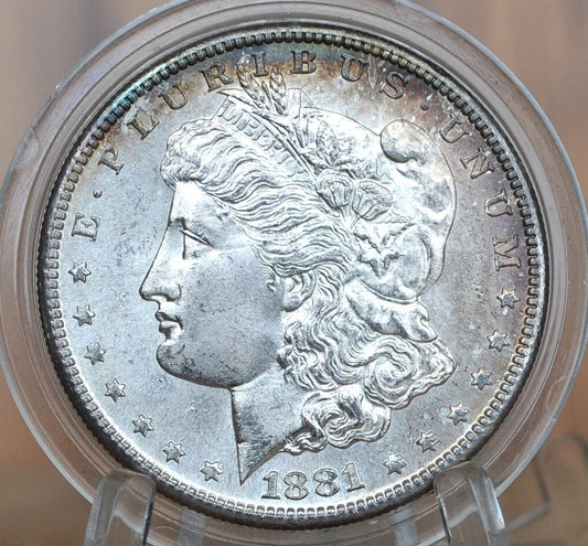 1881-S Morgan Silver Dollar - Choose by Grade / Condition - San Francisco Mint - 1881 S Morgan Dollar - High Grade, Beautiful