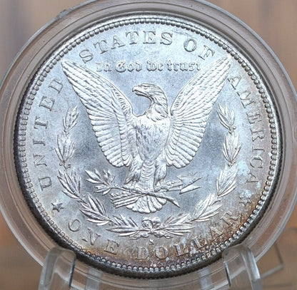 1881-S Morgan Silver Dollar - Choose by Grade / Condition - San Francisco Mint - 1881 S Morgan Dollar - High Grade, Beautiful
